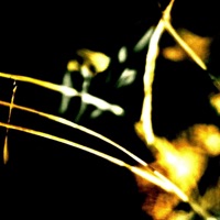 Parallel Room - Space