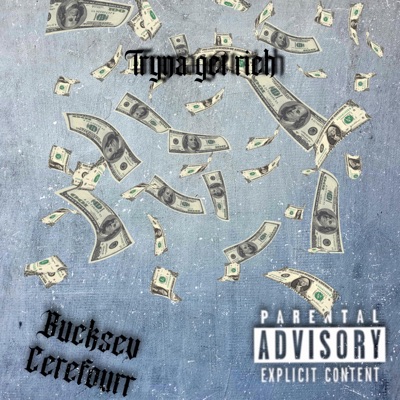 Tryna Get Rich (feat. Cerefour) - Single