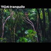 Tranquilo artwork