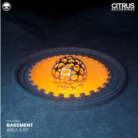 Area X - Single - Bassment