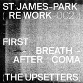 The Upsetters (St. James Park Remix) artwork
