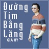 Đường Tím Bằng Lăng - Single