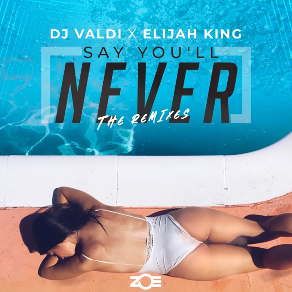 Say You'll Never (REMIXES) - Single