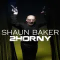 2horny (Danny Fervent Festival Remix)