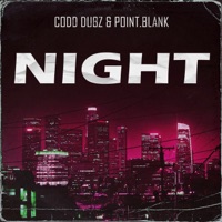 Night - Single - Point.Blank & Codd Dubz
