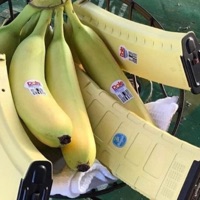 Calm Down - Single - Savegabe