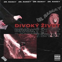 Divoký Život - Single - Dr. Ramay