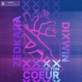 Gardien de ton cœur (feat. Dixwin) Zedkara