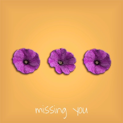 Missing You - Single