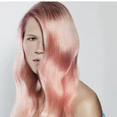 Listen to LNP3, watch music videos, read bio, see tour dates & more!