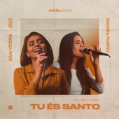 Tu És Santo (Playback) artwork