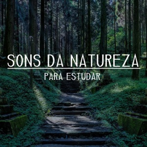 Sons da Natureza para Estudar