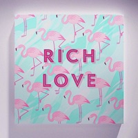 Rich Love (feat. X-ASTRØNAUT) - Single - Mamvala