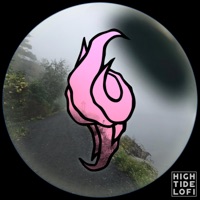 Tulips in the Rain - Single - High Tide Lofi