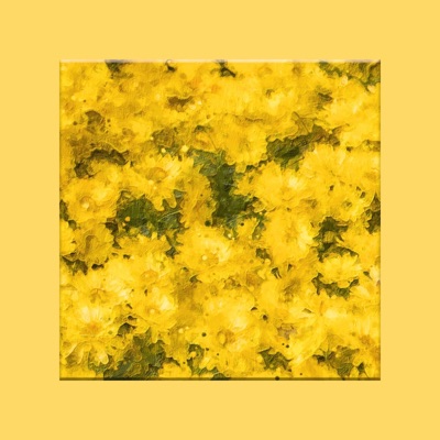 Heart Pound - Single