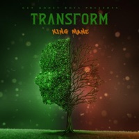 Transform - Single - King Mane
