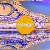 Cocodrilos (feat. Chiara Montiel) - Single - Boot Slap