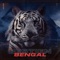 Bengal - Bestien lyrics