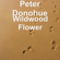 Be Real - Peter Donohue (Piano)