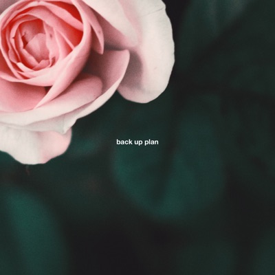 Back up Plan (feat. Sophie Meiers & Tyler Coolidge) - Single
