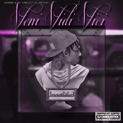 Veni Vidi Vici (Chopnotslop)