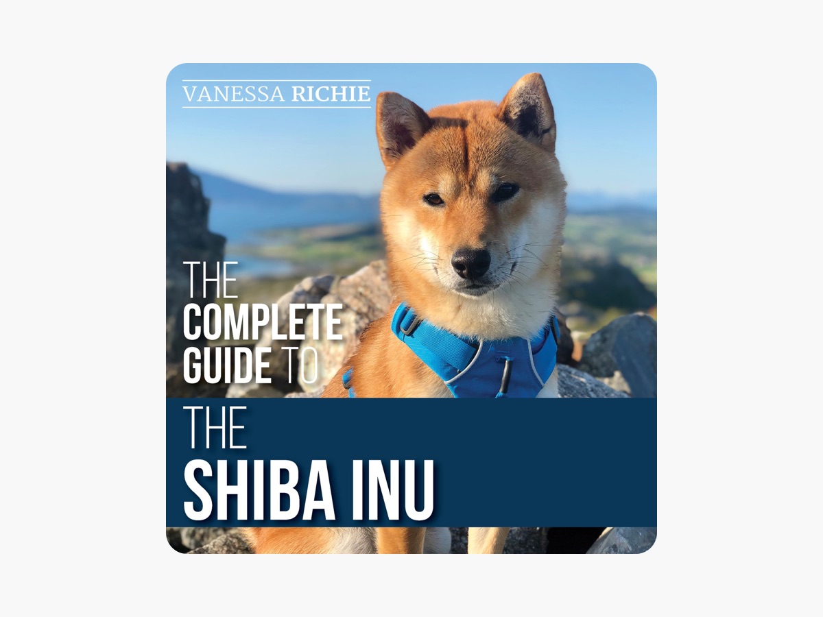Vanessa Richie The Complete Shiba Inu The Complete Guide To The - Main Image