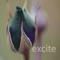 Excite - Human Wave lyrics