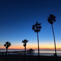 Tropical Sunrise - Single - Bloome