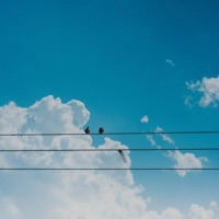 Strong Hearted - Single - Or Say & Straizo