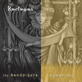 The Sandpipers Symphony artwork