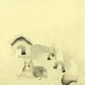 Raptada