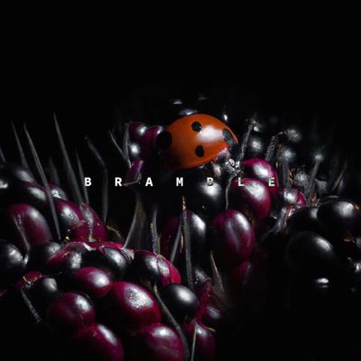 Bramble - Single
