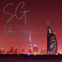 DXB Tings - Single - SG Salim-Ghalib