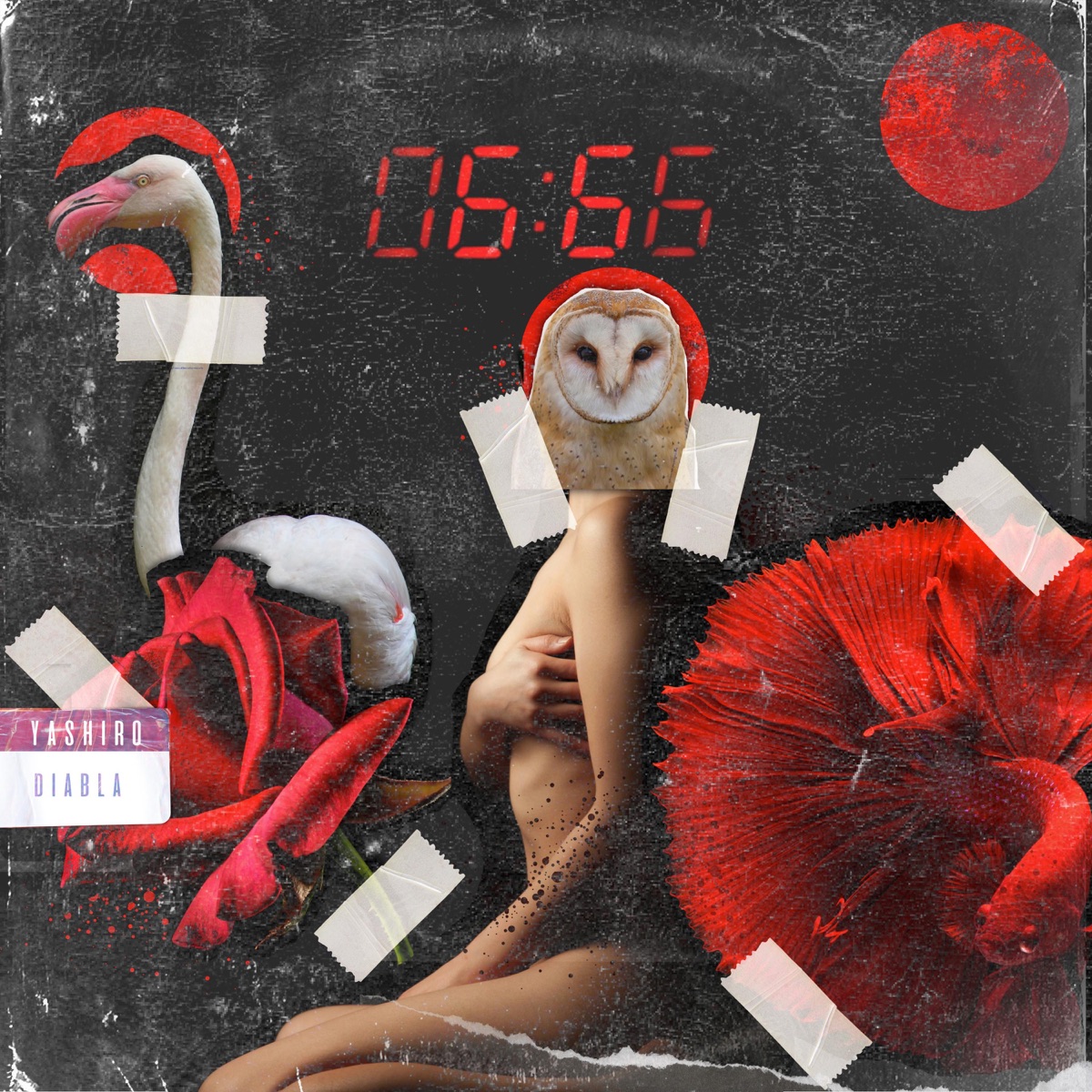 Diabla - Single