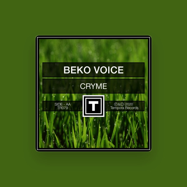 Beko Voice's avatar