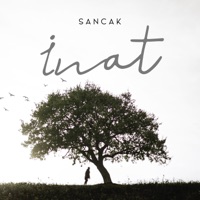 Inat