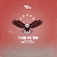 Non mi va (feat. Valerio Nazo) - Single - Riko Noshi