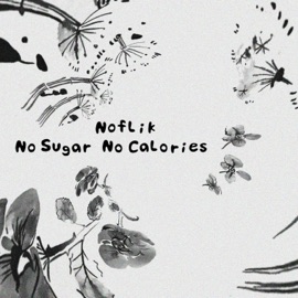 Here Noflik & No Sugar No Calories