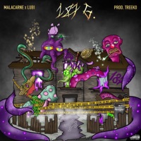 187 G. - Lubi & Malacarne