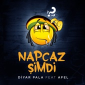 Napcaz Şimdi (feat. Afel) artwork