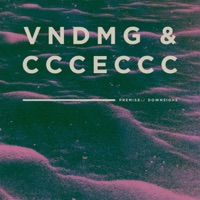 Premise / Downsighs - Single - ccceccc & VNDMG