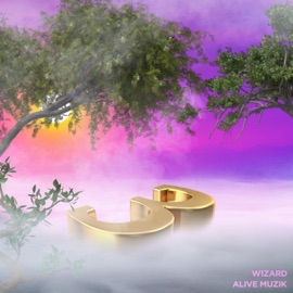 Calm Before Wizard & Alive Muzik