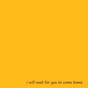I Will Wait for You to Come Home (feat. Samer Bakri) - Single