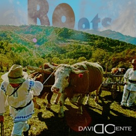 Roots David Ciente