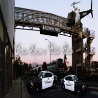 Crime Scenes n Ghetto Birds - Single - Fuze The Poet