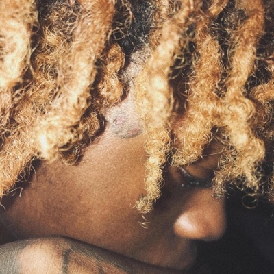 Wild (feat. Ssrockyy) - Single