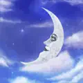 The Anima