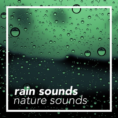 Rain Sounds & Nature Sounds