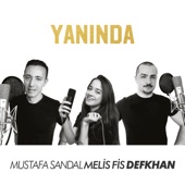 Yanında artwork