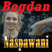 Bogdan artwork